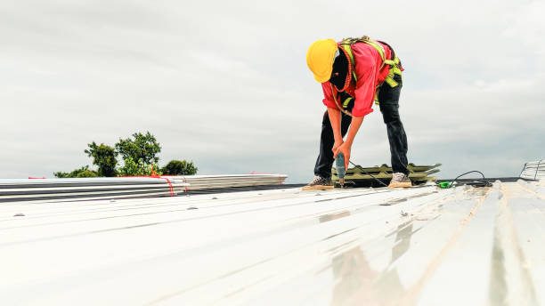 Best Roof Maintenance and Cleaning  in Saw Creek, PA